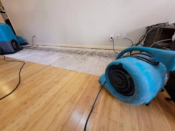 Reliable Basement Flood Cleanup contractor in Anna, TX by Hirex Water Damage