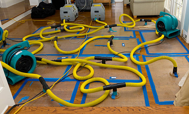 Professional Basement Flood Cleanup technician working in Anna, TX